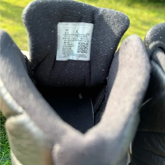 Air Jordan Retro 12 Playoffs CT8013-006