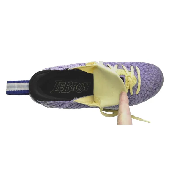 C0 Auth NIKE LeBron 16 Lakers Heritage Atomic Violet Shoes CK4765-500 Size 11