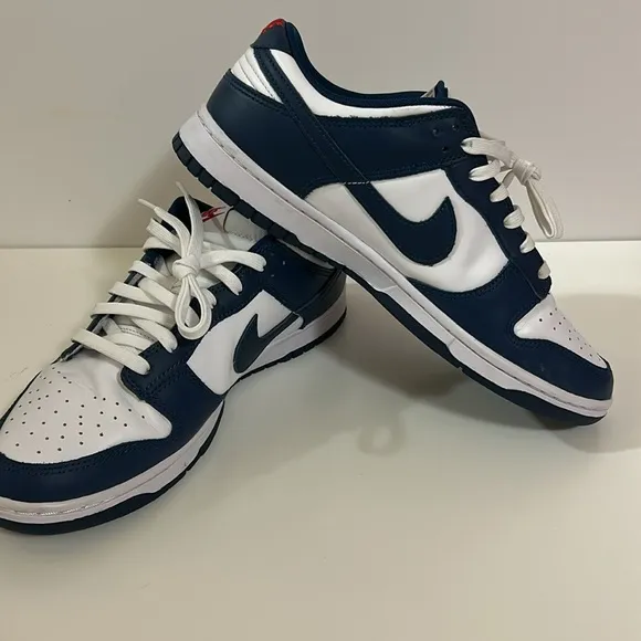 Nike Dunk Low Valerian Blue Sz 11