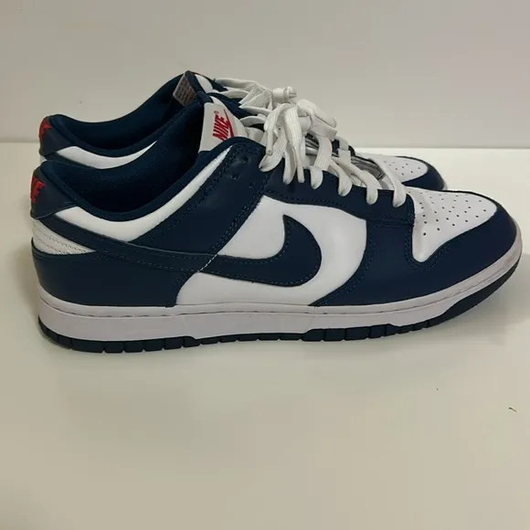 Nike Dunk Low Valerian Blue Sz 11