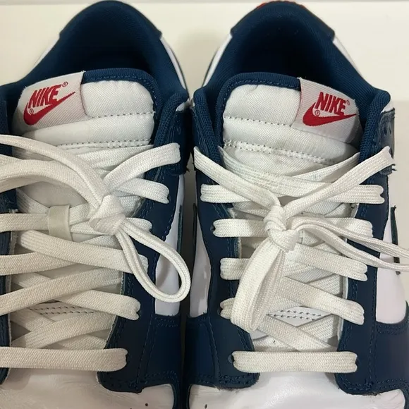 Nike Dunk Low Valerian Blue Sz 11