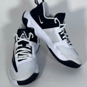 NWOB Nike Giannis Immortality 3