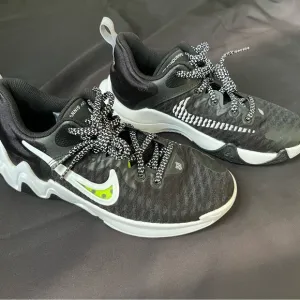 NWOB Nike Kids Giannis Immortality Basketball Shoes