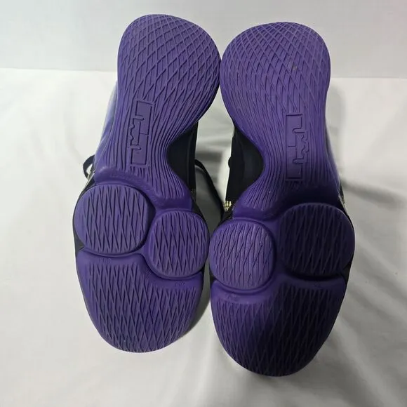 Size‎ 9.5 - Nike LeBron Witness 5 Fierce Purple Metallic Gold